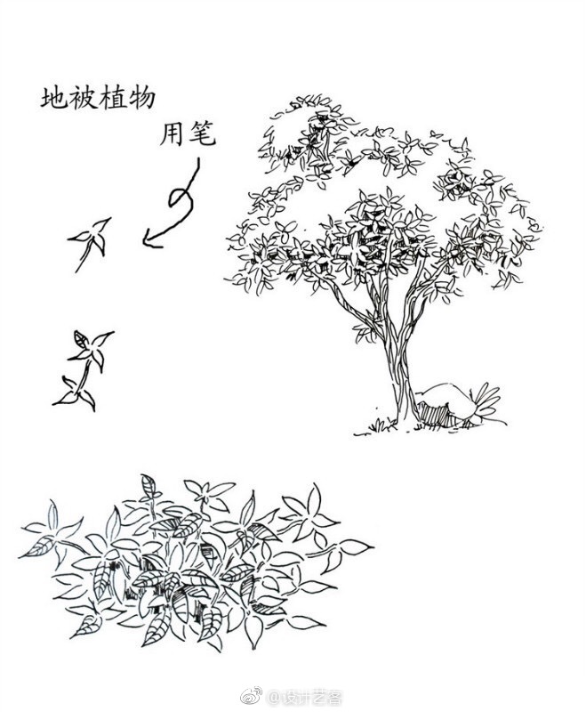 11岁如何用笔草自己？-第3张图片