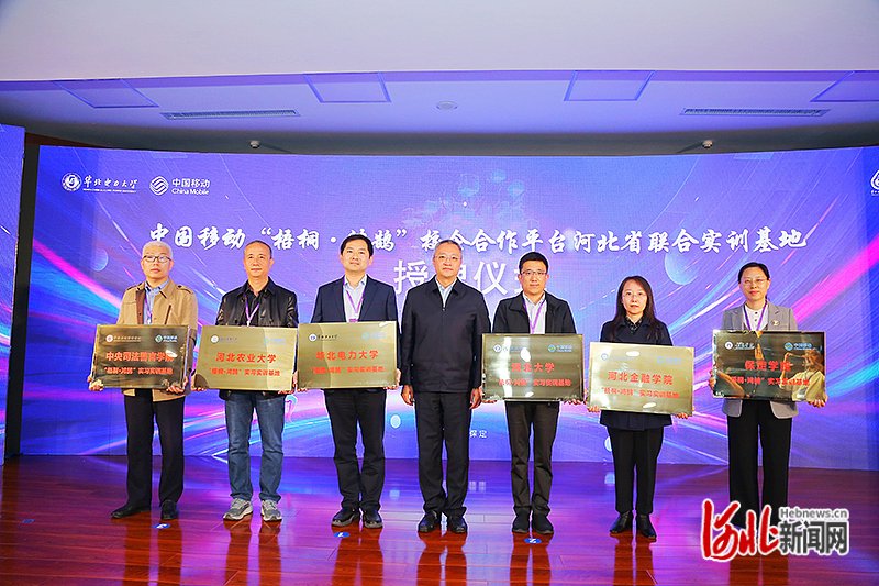 彩易网，数字时代的财富桥梁-第2张图片