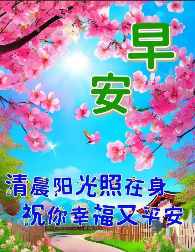 246天天好天下天空彩免费资料大全