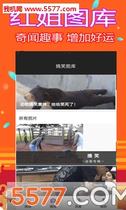 红姐118图库，探索丰富的视觉资源-第2张图片