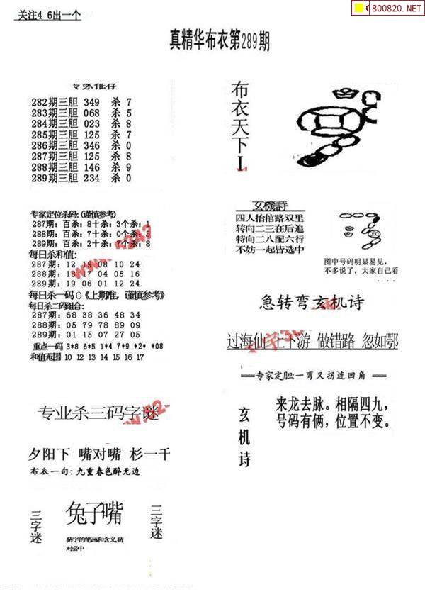 彩摘网布衣天下彩摘网，布衣天下新篇章