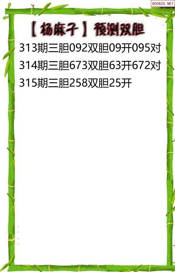 双彩网3d双彩网3D，探索数字娱乐新篇章
