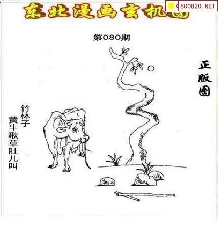 天齐网3D图谜，探索神秘世界-第2张图片
