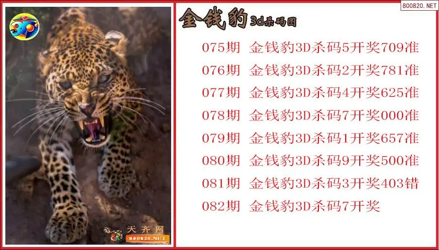 天齐网论坛手机版天齐网论坛，探索网络世界的智慧之窗-第2张图片