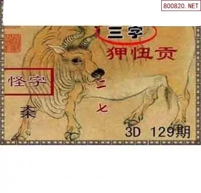 3d走势图(带连线图专业版)3D走势图专业版，带你领略趋势的连线和专业解读