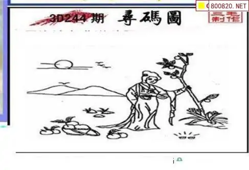 三毛图库3d三毛图谜三毛图库3D，探索数字艺术的新世界