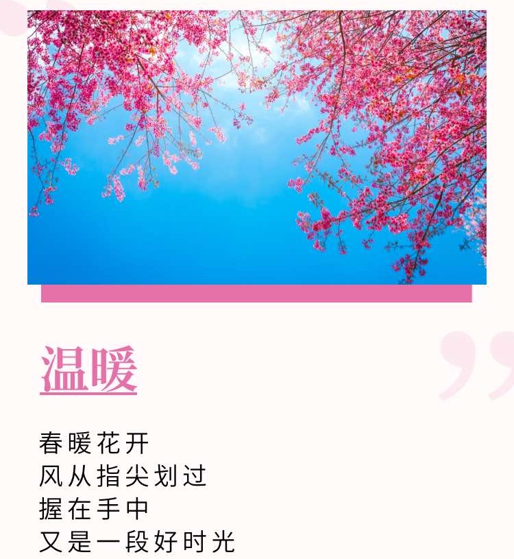 完美名字完美名字，赋予生命与希望的象征-第1张图片