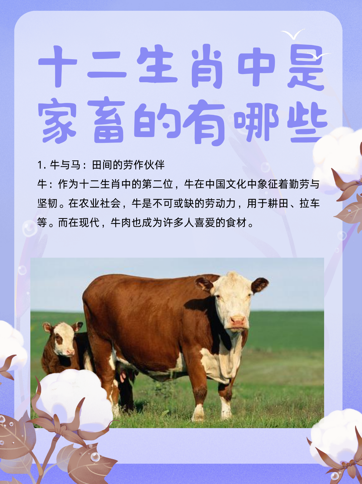 今晚必开什么生肖今晚必开生肖揭晓-第1张图片