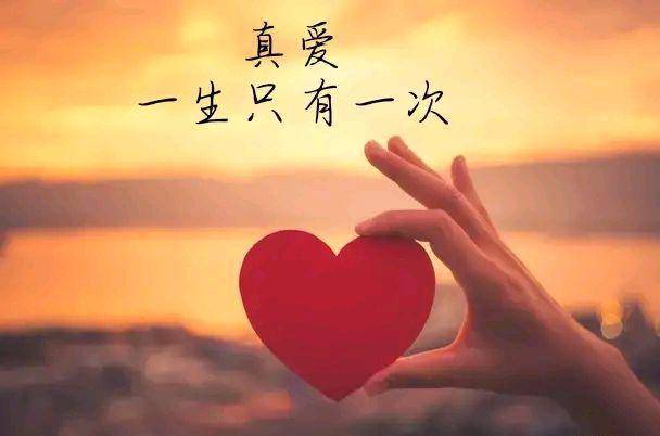 一个人免费视频在线观看高清直播