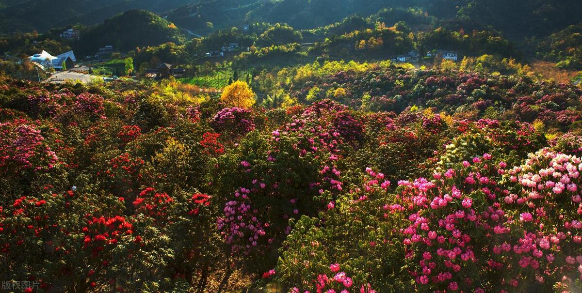 毕节旅游毕节旅游攻略