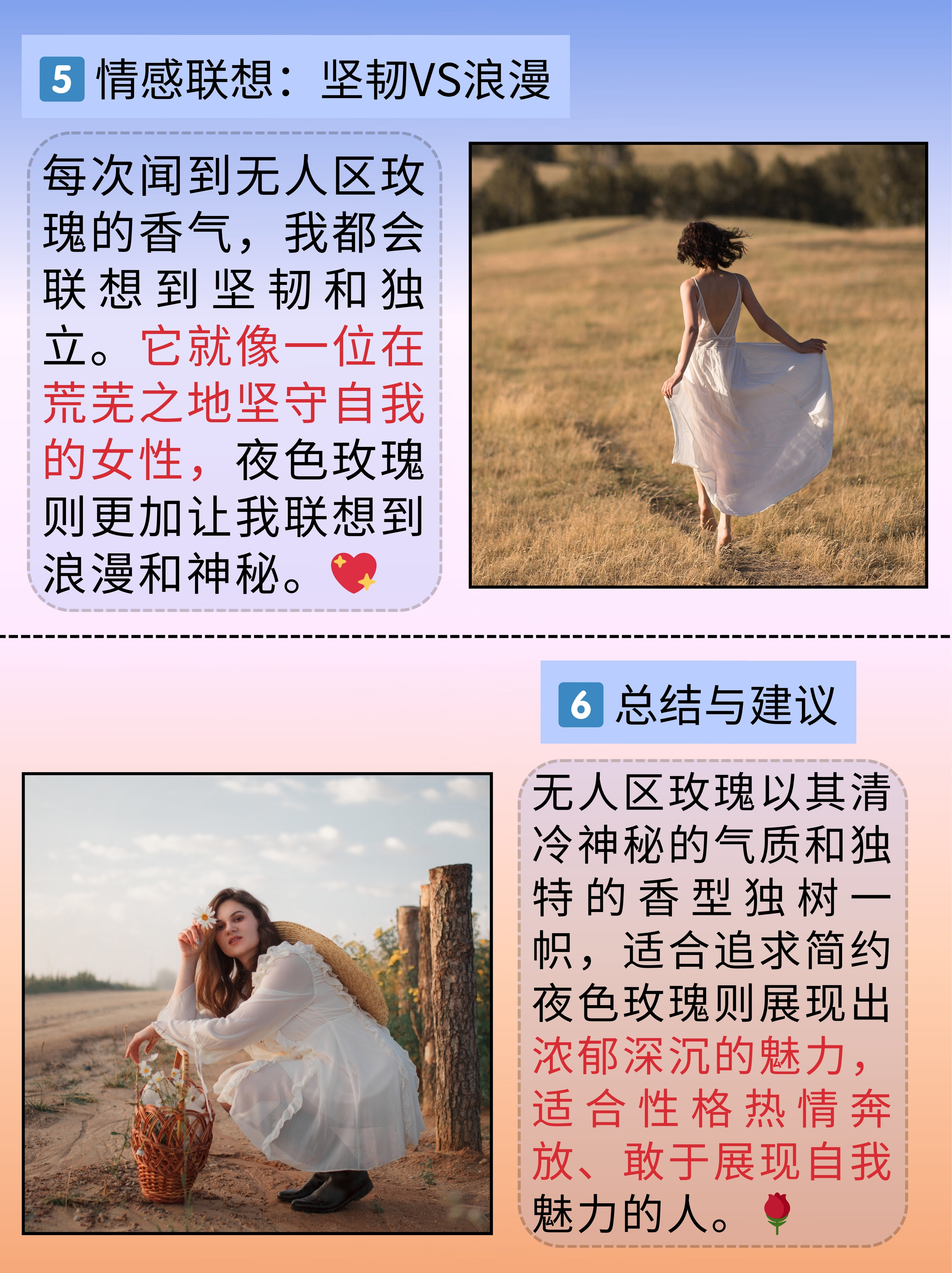 无人区玫瑰的mv在哪里看无人区玫瑰MV观看指南-第2张图片