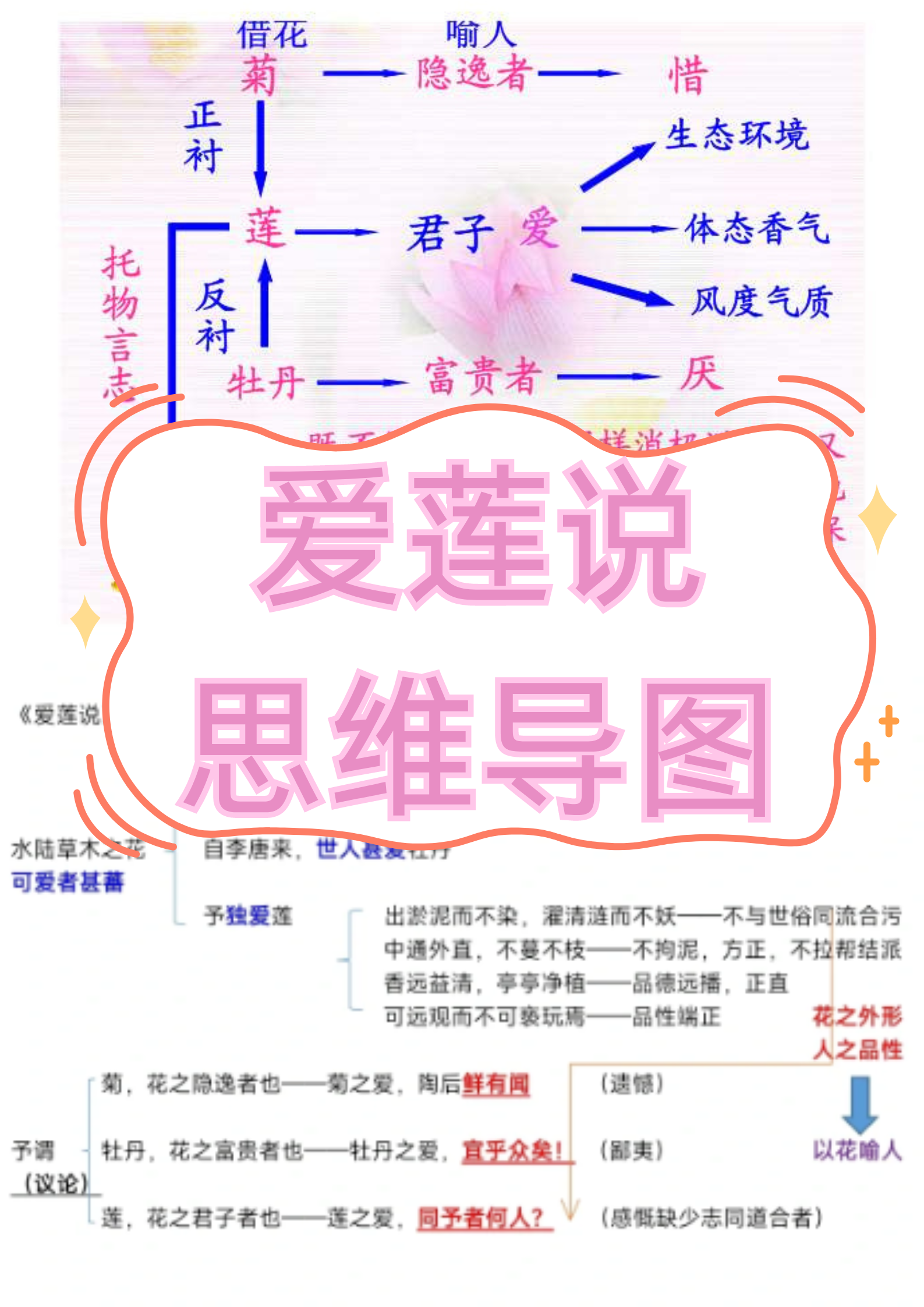 张悦然博客集张悦然博客，文字的魅力与思考-第3张图片