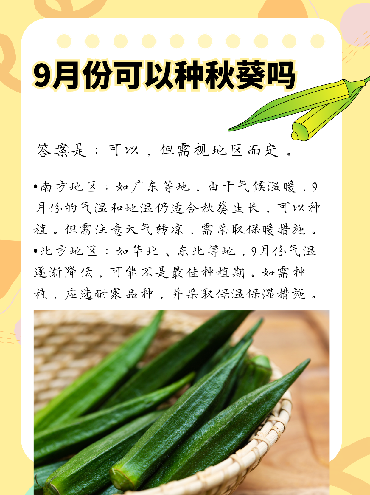秋葵适合未满十八岁的人吃吗女生秋葵适合未满十八岁的人适量食用
