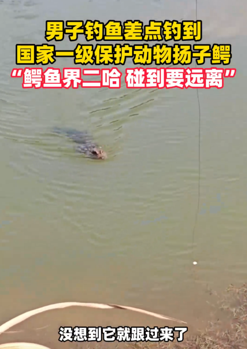 比思吧官网登录入口比思吧，探索思想与交流的平台-第2张图片