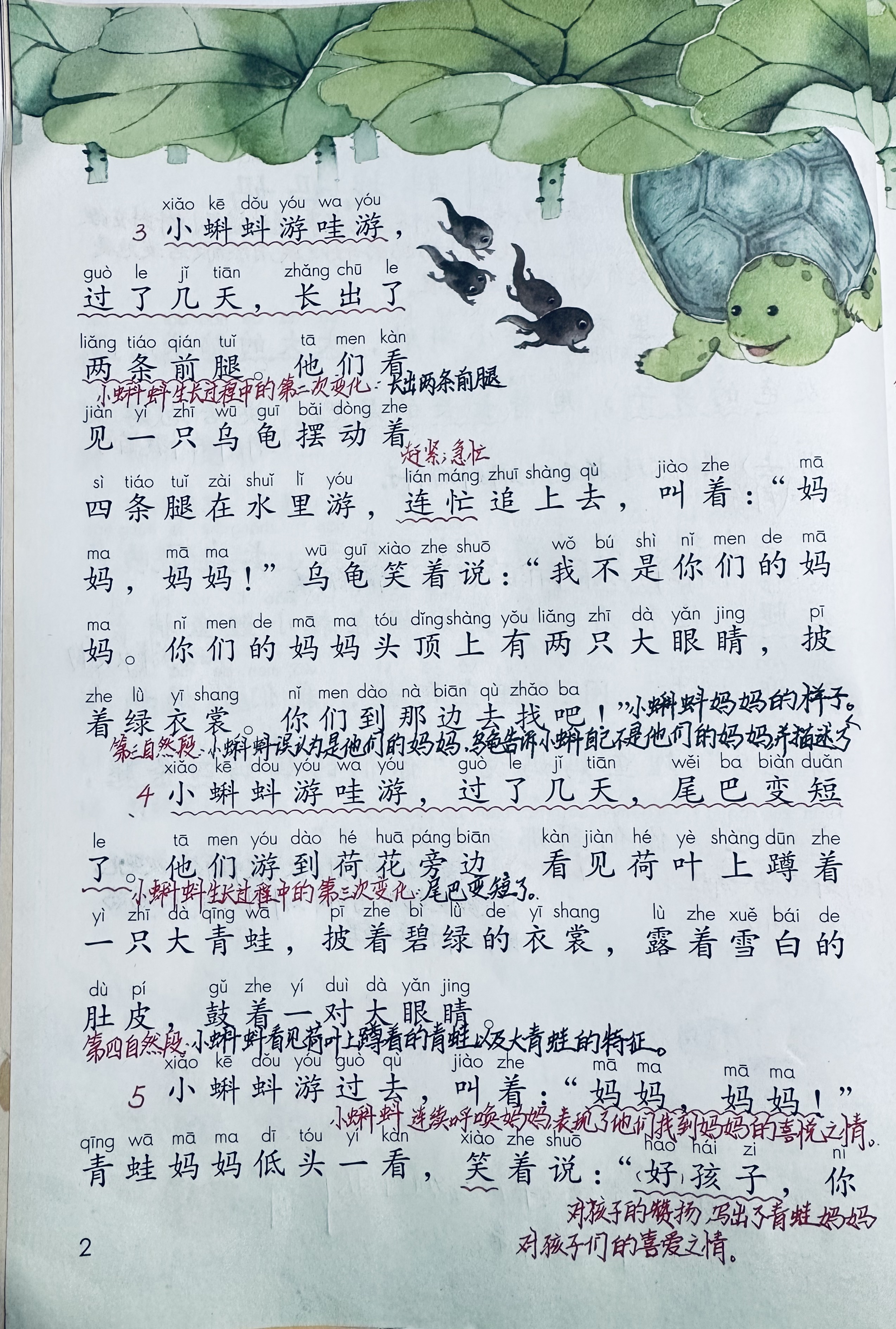 小蝌蚪视频在线观看免费观看WWW小蝌蚪视频在线观看免费观看-第2张图片