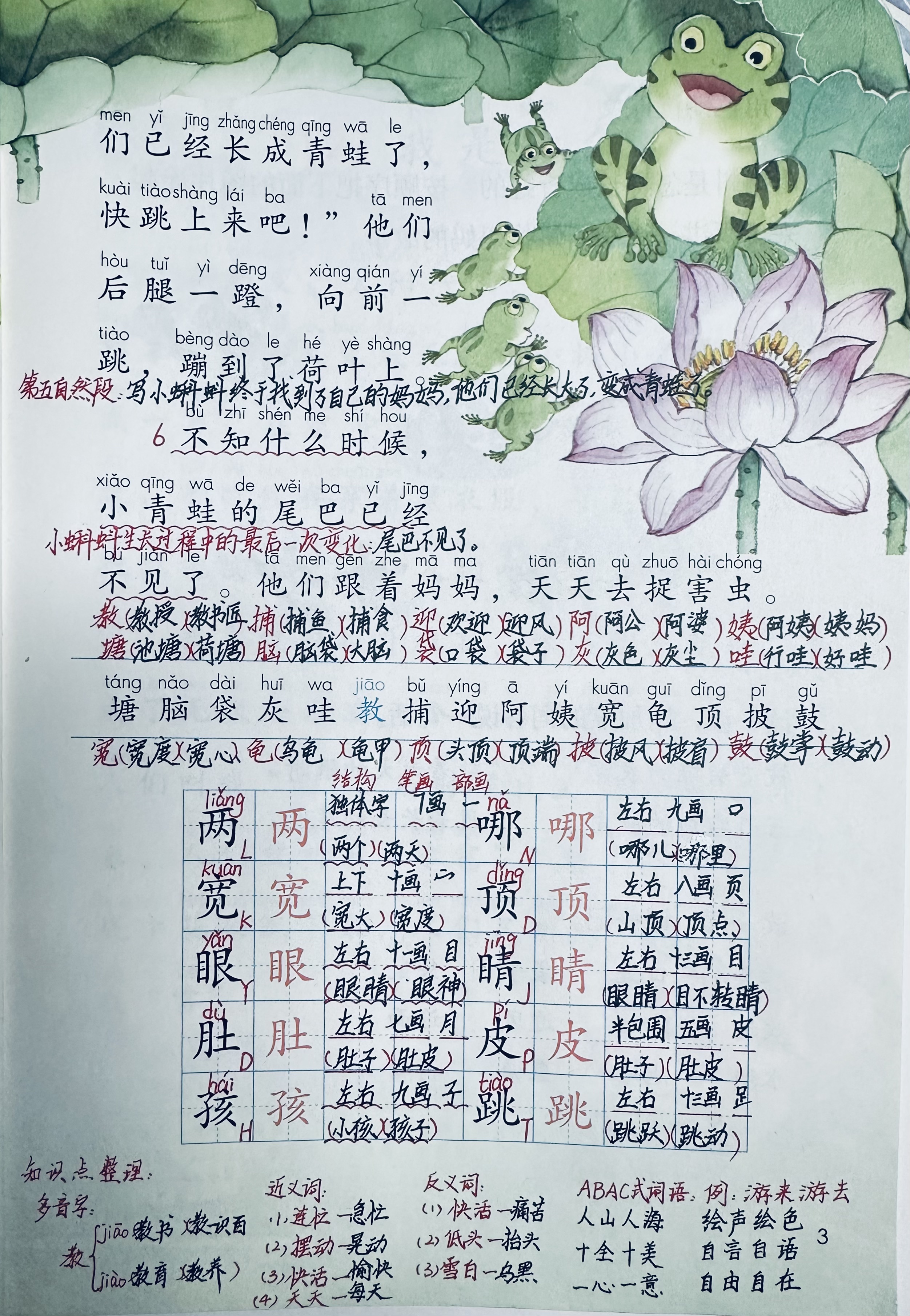 小蝌蚪视频在线观看免费观看WWW小蝌蚪视频在线观看免费观看