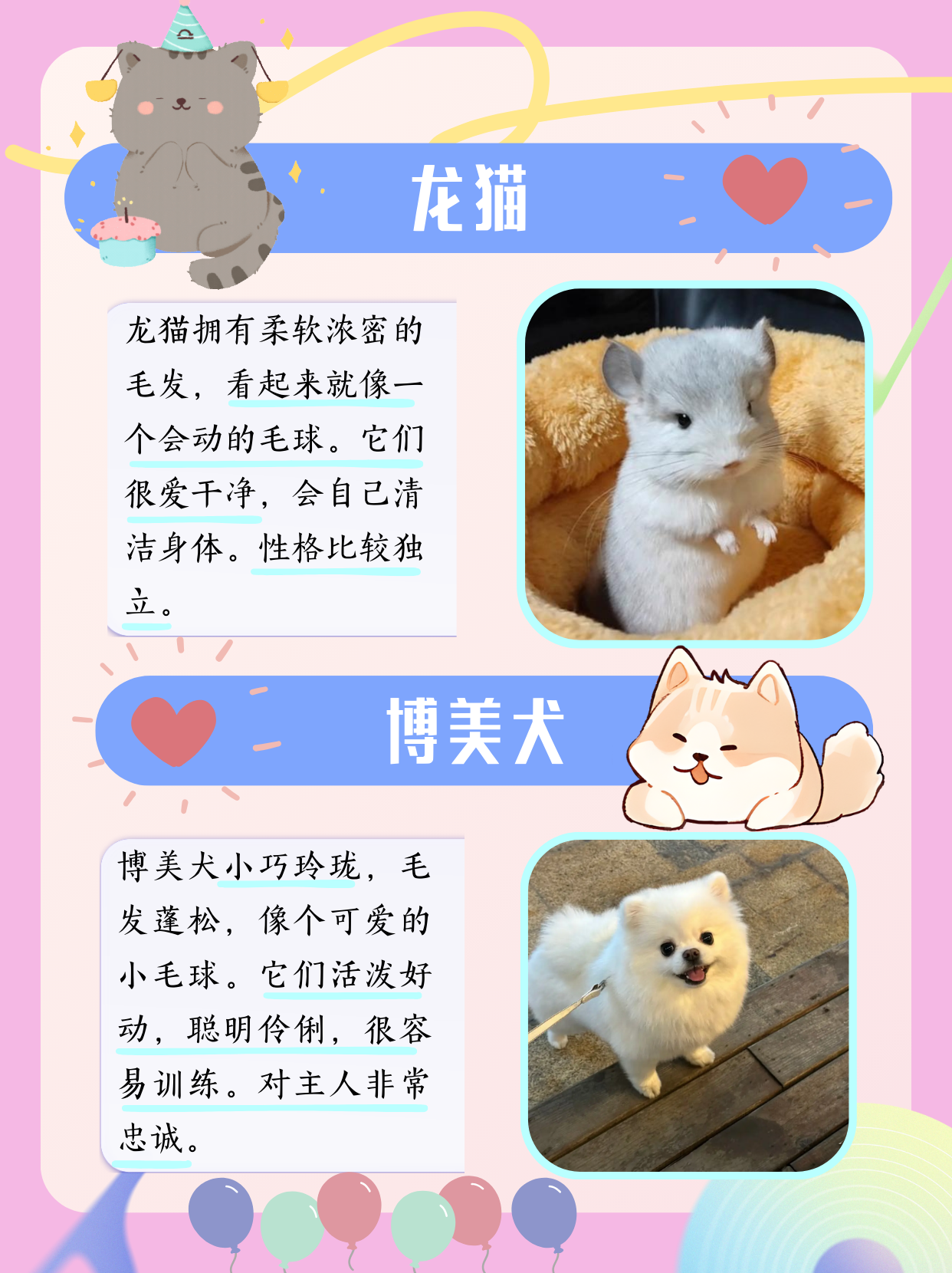 老师的小兔子好大好软水好带老师的小兔子好大好软-第3张图片