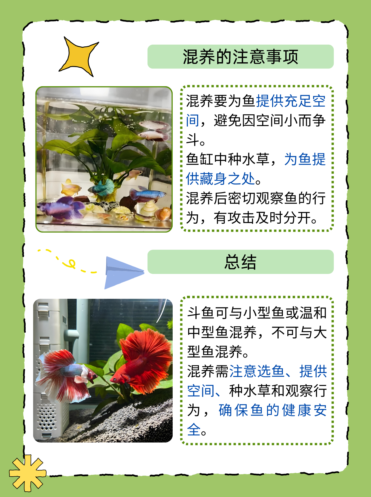 斗鱼叶子怎么用斗鱼叶子，多彩生命的艺术-第3张图片