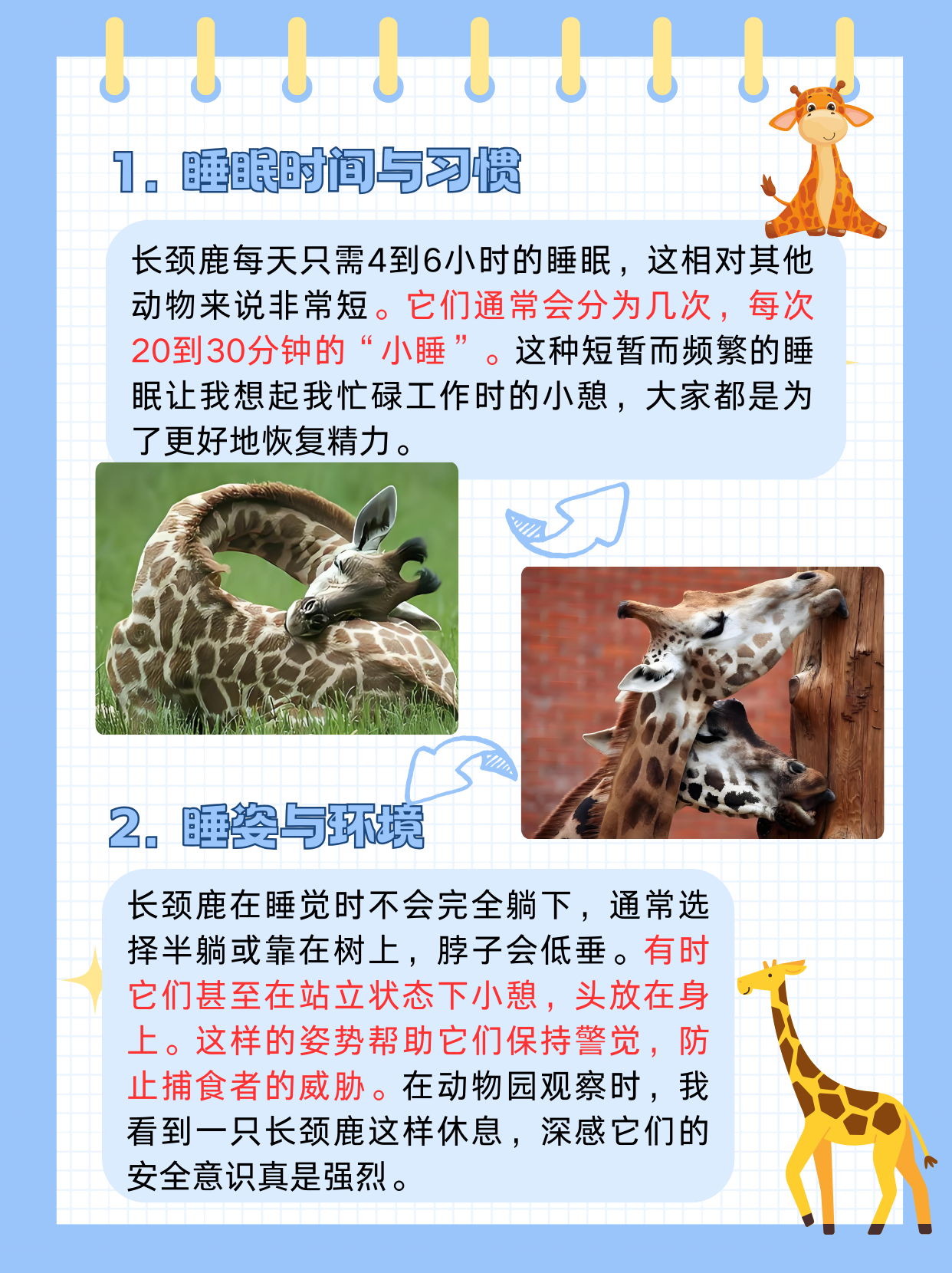放在里面睡觉是一种什么样的感受放在里面睡觉是一种独特的体验-第1张图片