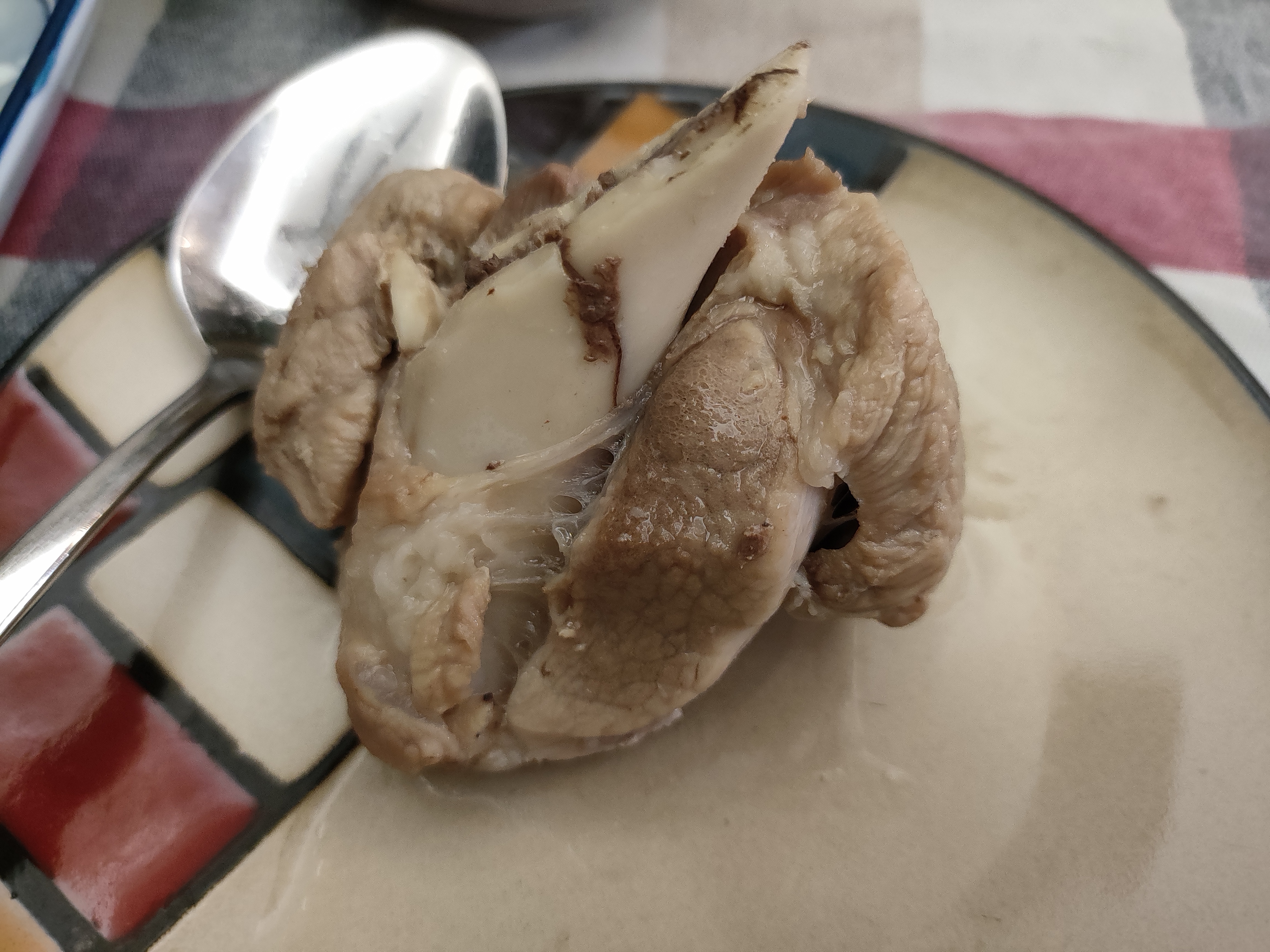 善良的嫂子3字巴巴鱼汤饭蘑菇汤饭善良的嫂子与美味的3中字巴巴鱼汤饭与蘑菇-第3张图片