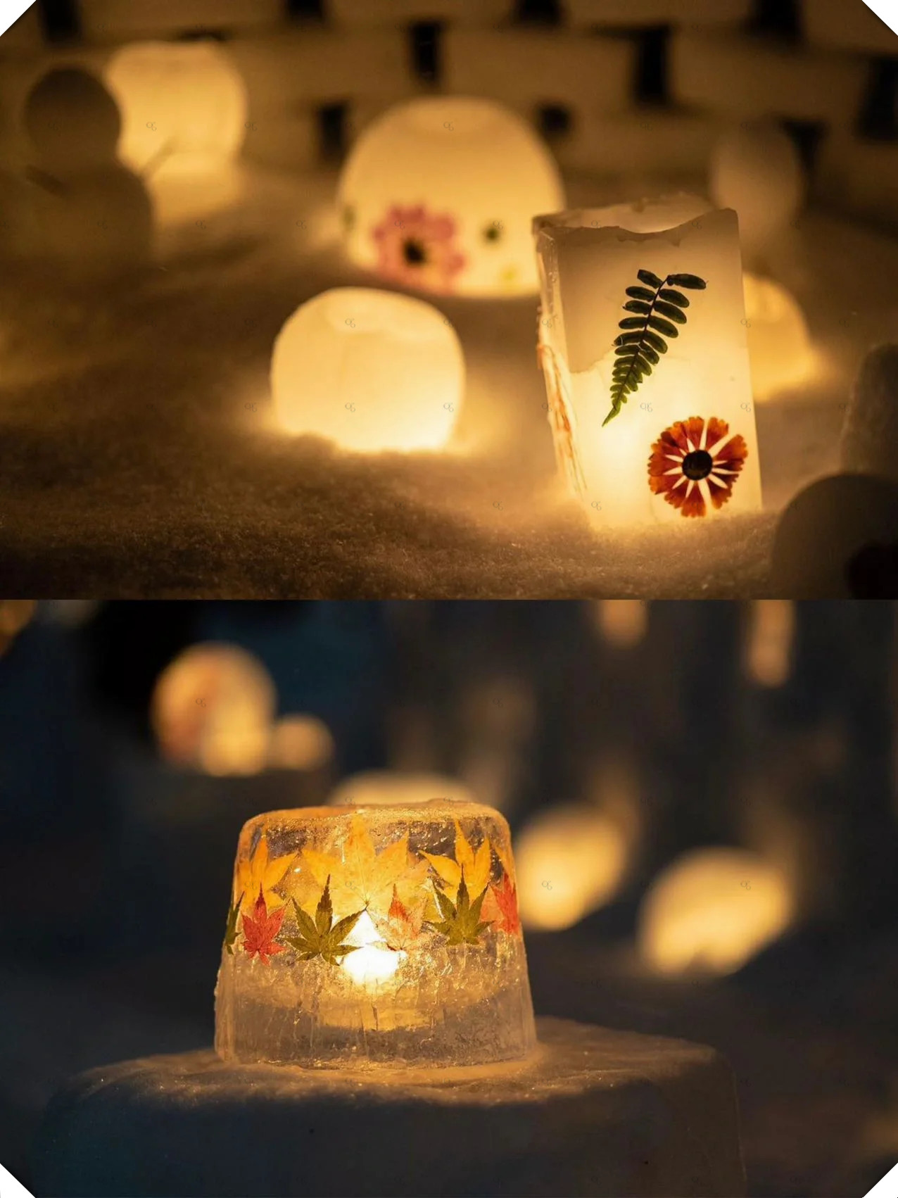 探索日本神秘之谜，与beegxxx的奇妙邂逅