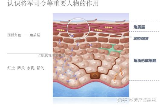高c时是高C了是否可以继续，这是一个因人而异的问题，取决于个人的身体状况、健康状况以及未来的生活方式。-第3张图片