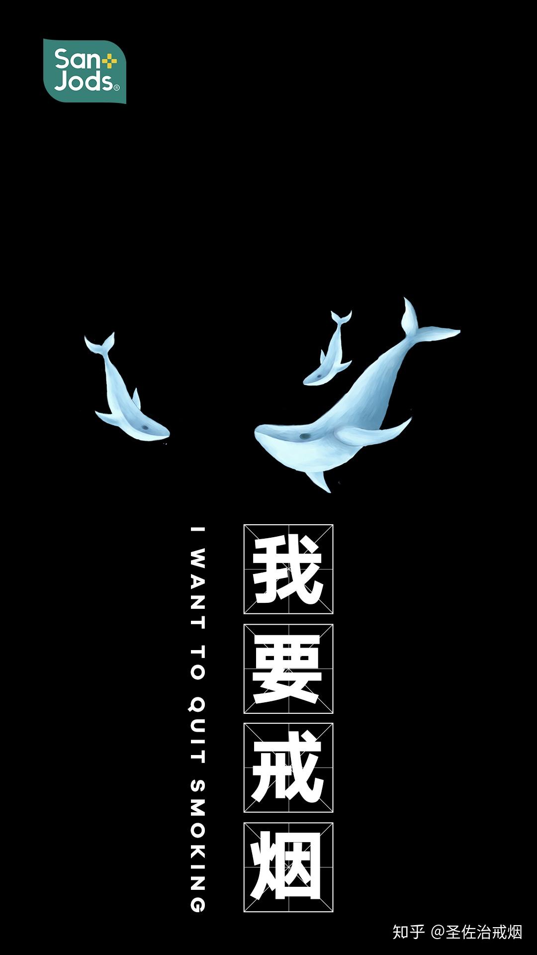 晚上正能量网址2020在线网站正能量晚上在线观看指南