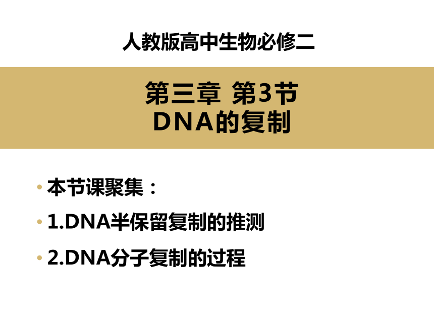 母亲的DNA和儿子的DNA是否一样是一个引人深思的问题。在探讨这个问题之前，我们需要先明确一些相关的概念和背景信息。-第3张图片