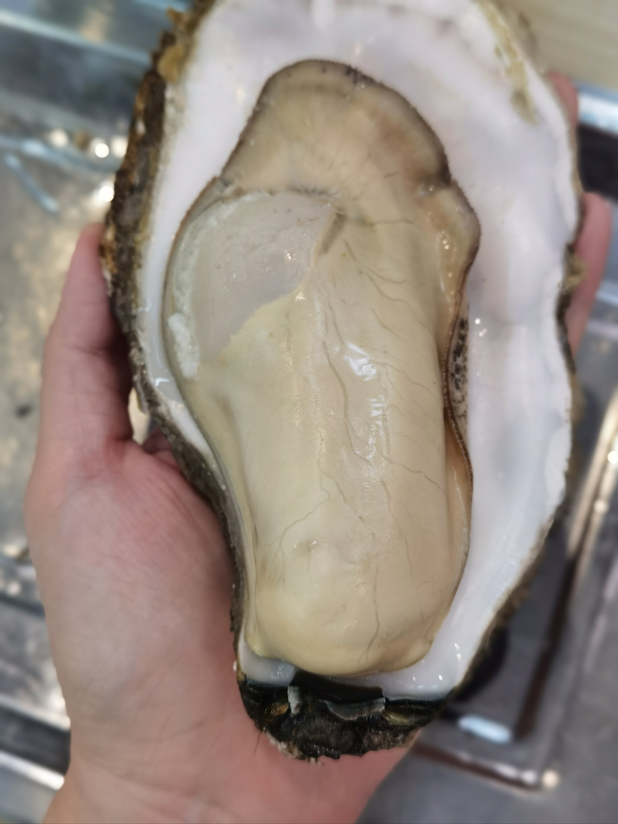 硕大无比的BigBBW魅力-第2张图片