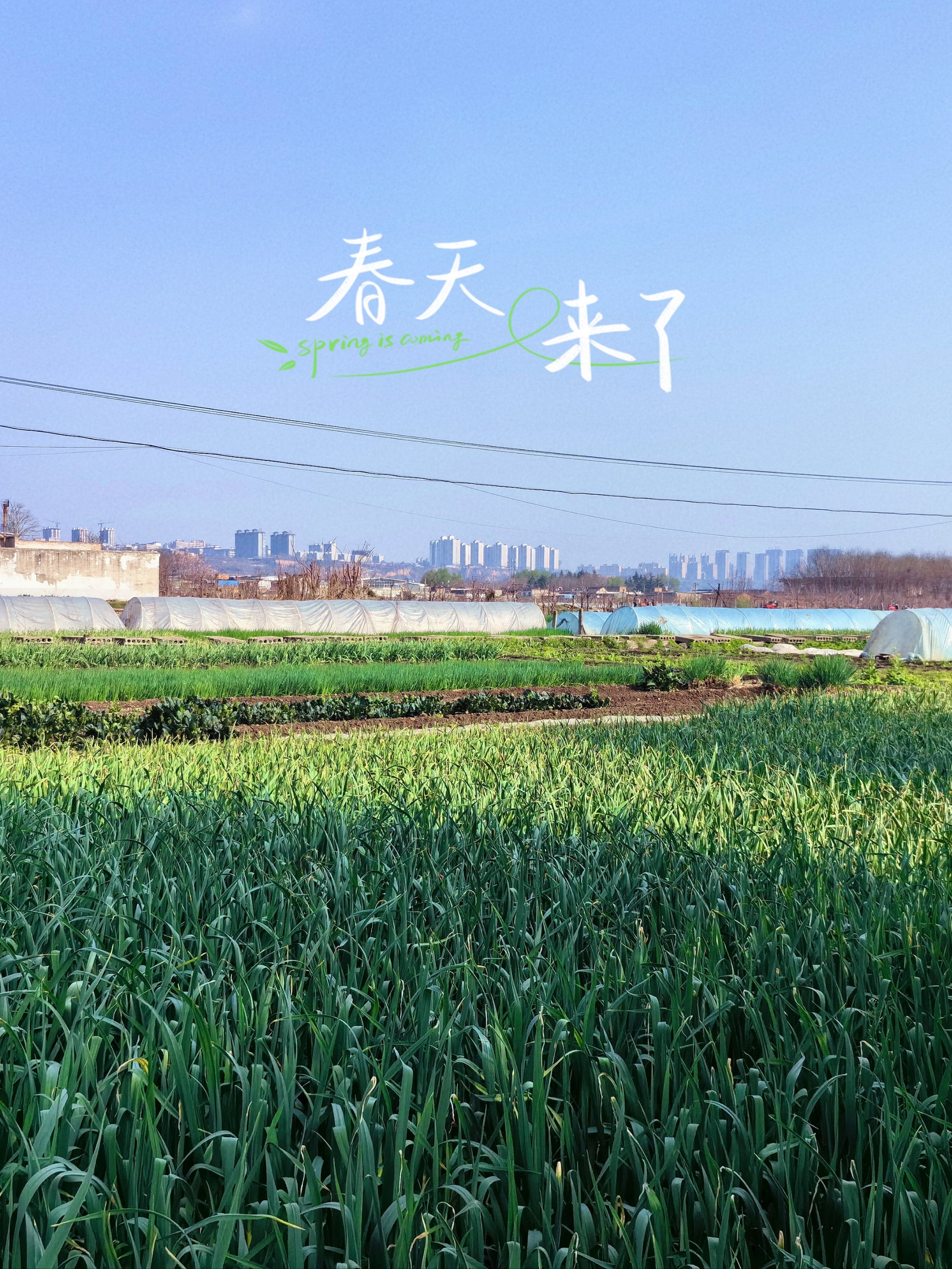 儿子耕种母亲的田地，名为田园之家-第3张图片
