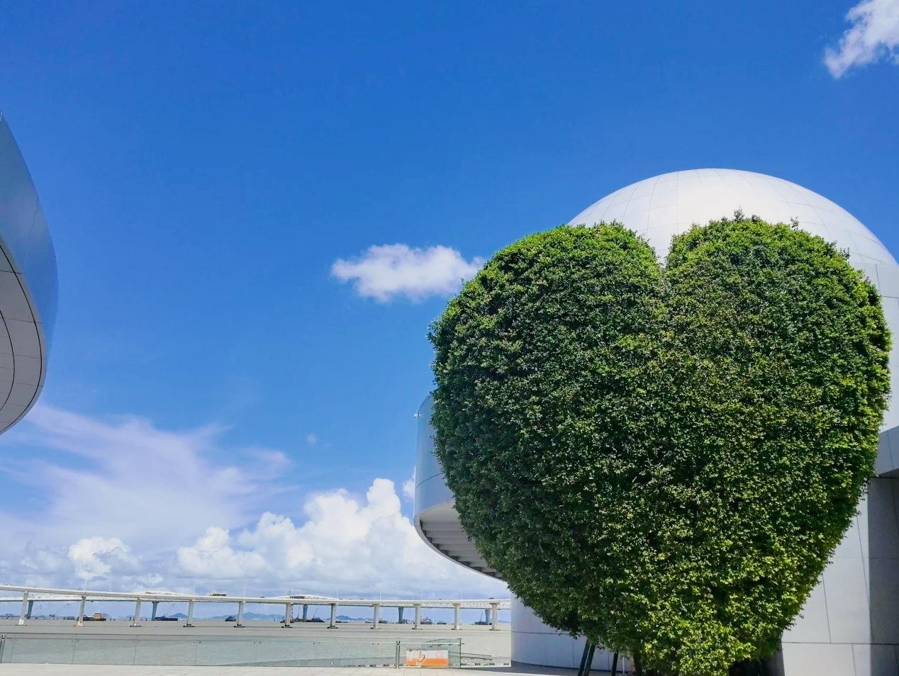 2024年澳门图片资料2024年澳门图片资料概览-第3张图片