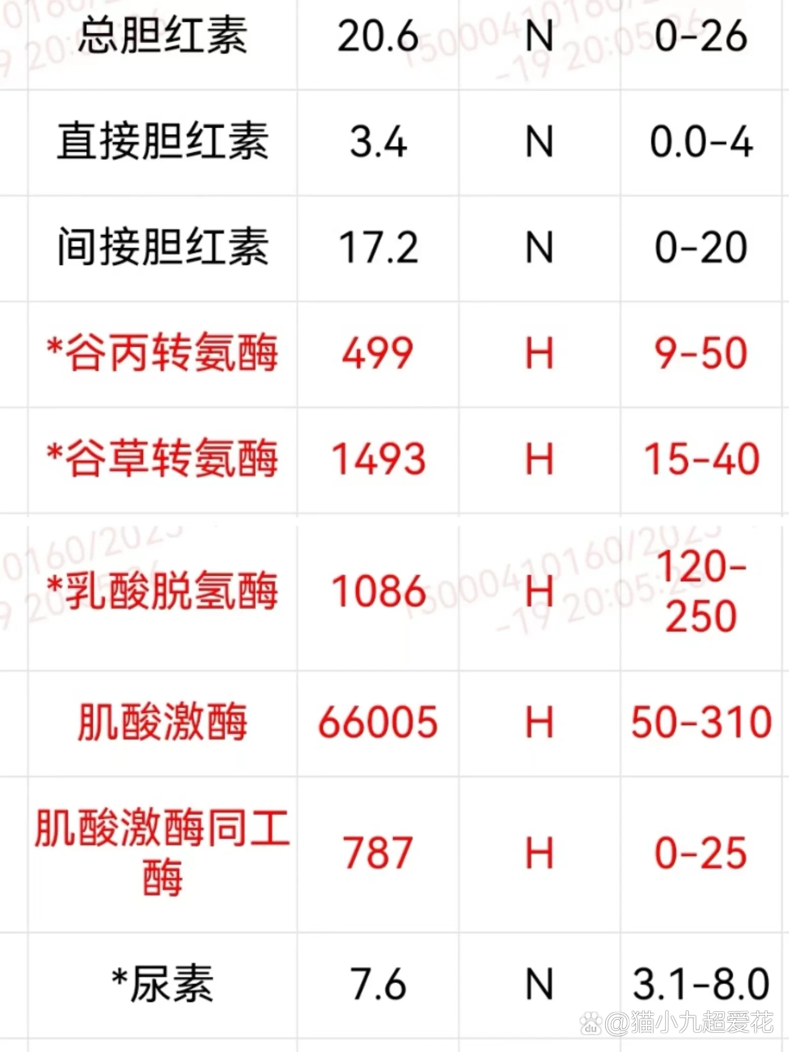 冰吻吉他谱-第2张图片