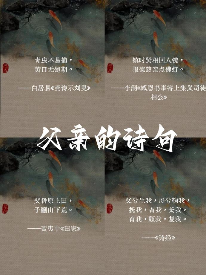 父亲十分着急扩句父亲缓慢而有力往里挺，大豆行情网风云变幻-第3张图片