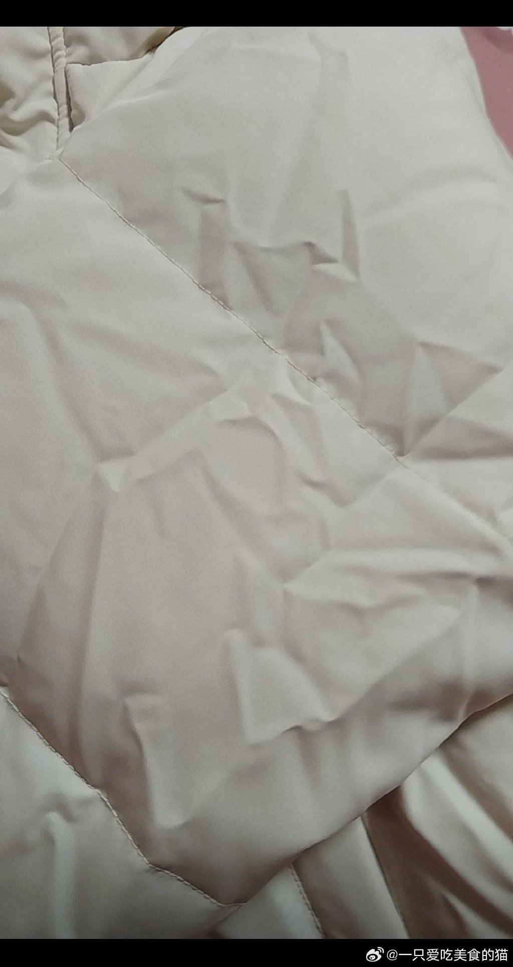 从校服衣袖看到大馒头是什么东西从校服衣袖到大馒头，神秘物品揭秘-第3张图片