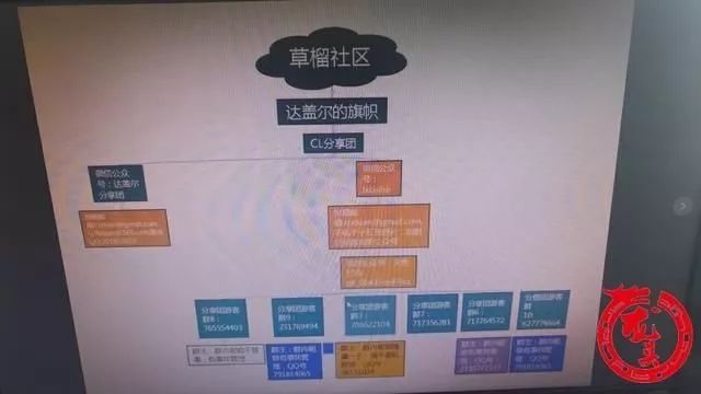 曹榴最新1024曹榴最新动态-第3张图片