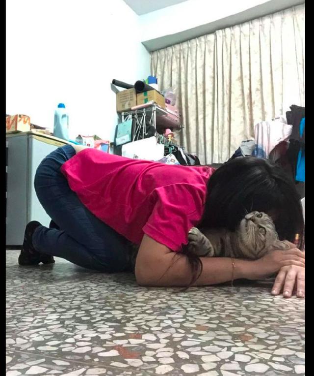 主人 跪好 知道错了吗主人跪好，知错了吗？