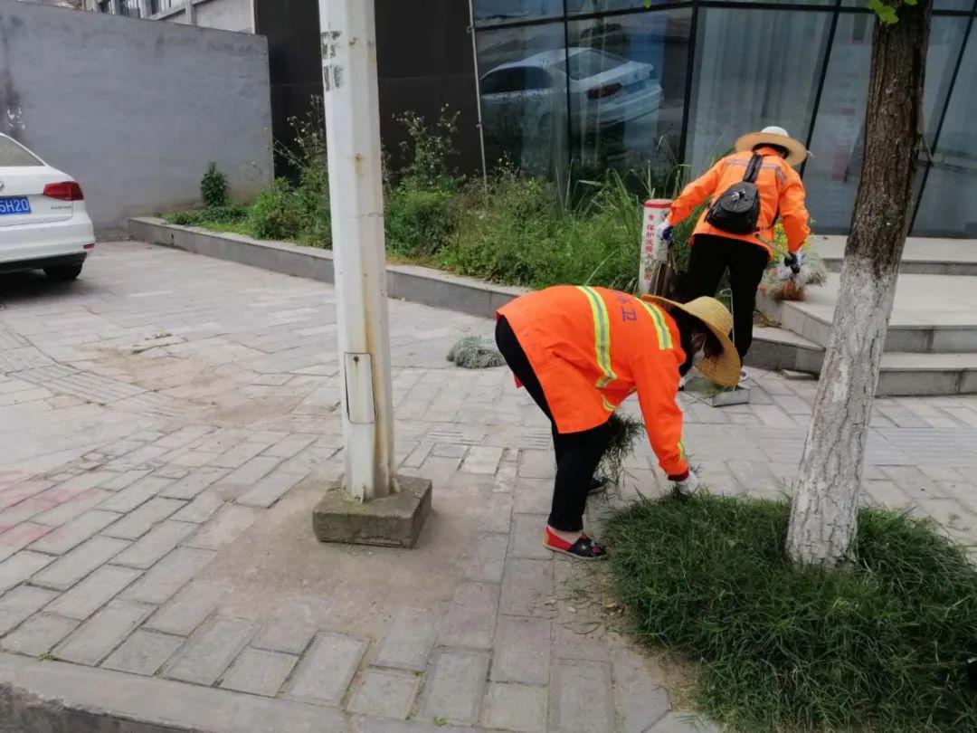 人人爱干是什么意思人人爱干，热情与责任的体现