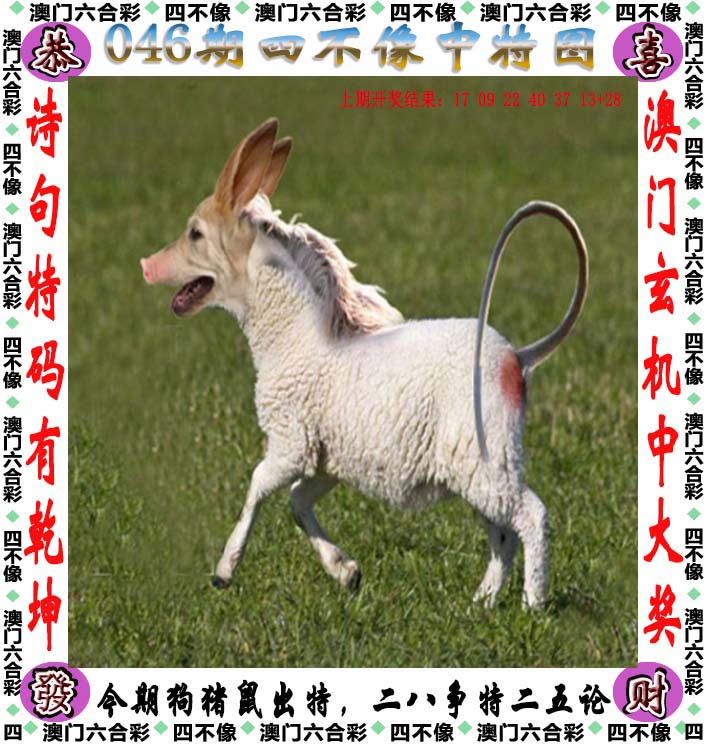 香港内部最准的一肖一码功能香港内部最准的一肖一码-第2张图片