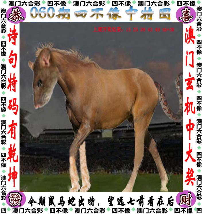 246天天好彩精选资料-第2张图片