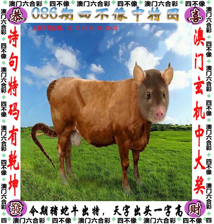 2024澳门开奖结果揭晓，预测与展望