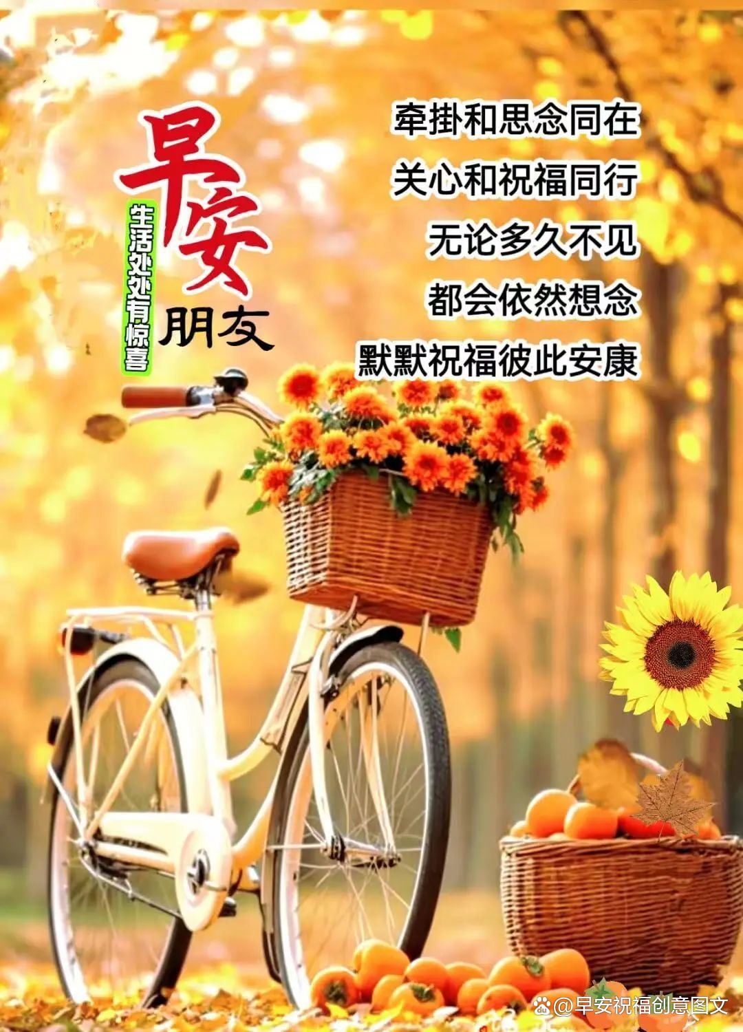 2月19日是什么日子