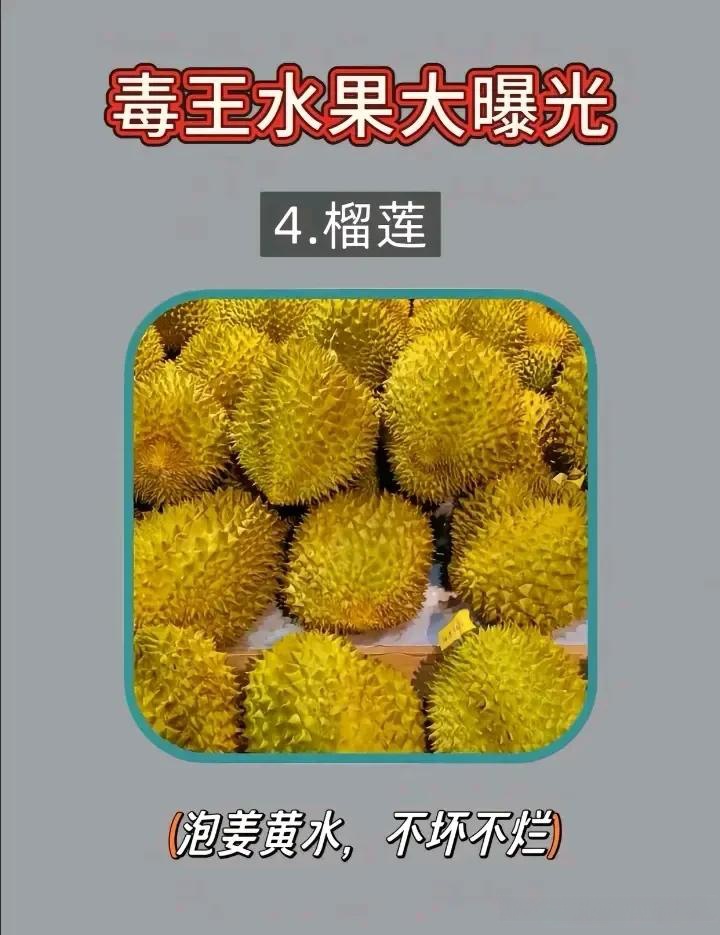 榴莲草莓芒果菠萝香蕉科普榴莲科普