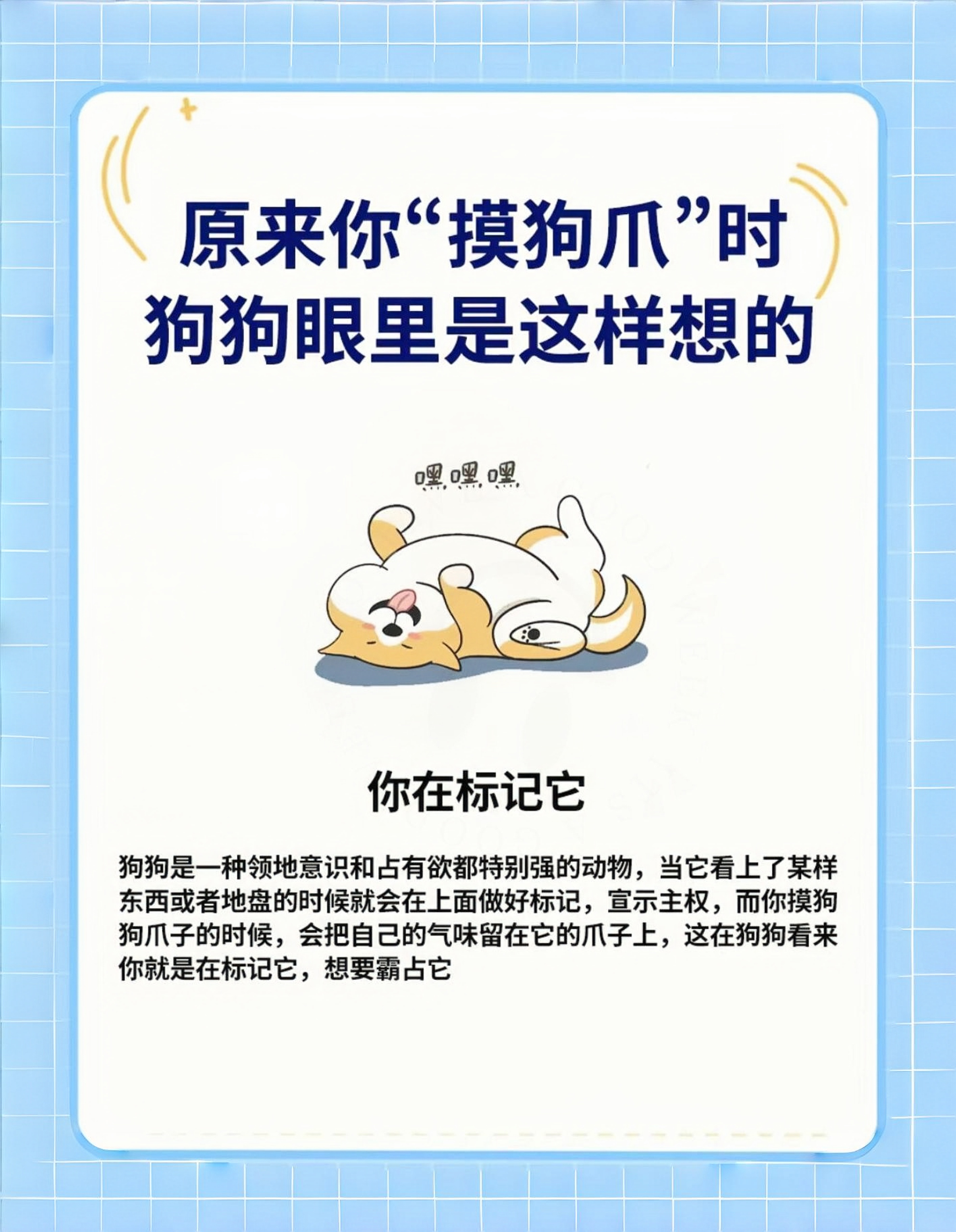 人与狗xz00人与狗的亲密关系，一种独特的情感纽带-第3张图片
