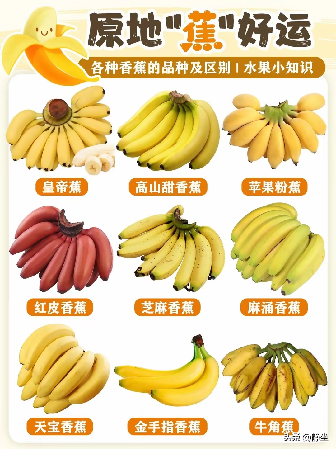 香蕉视频官方网站香蕉视频官方网站介绍-第3张图片