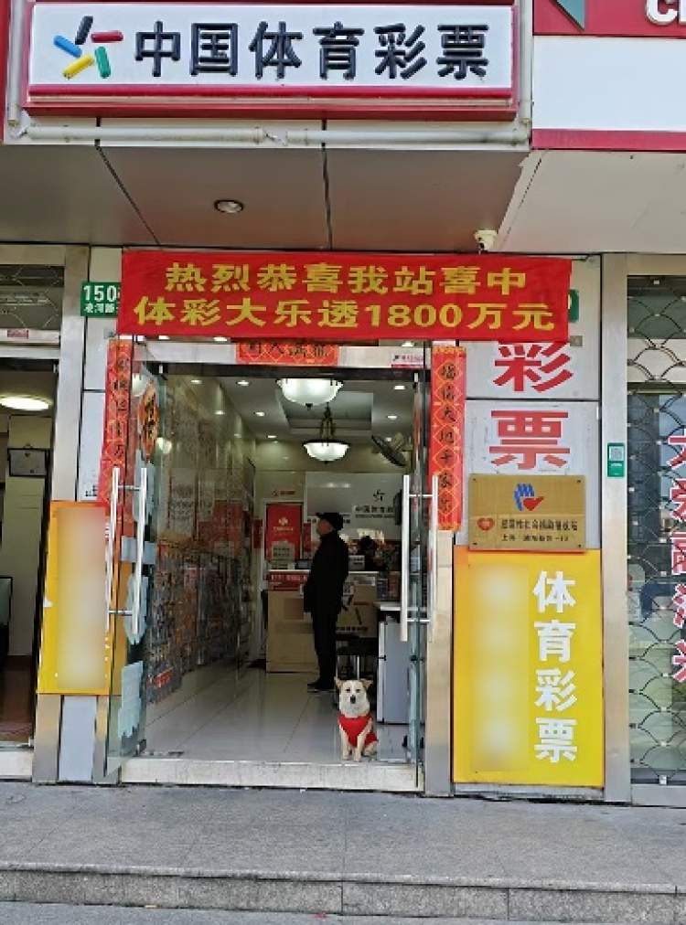 南国彩票论坛特区南国彩票论坛特区，彩票交流与探讨的新天地-第2张图片