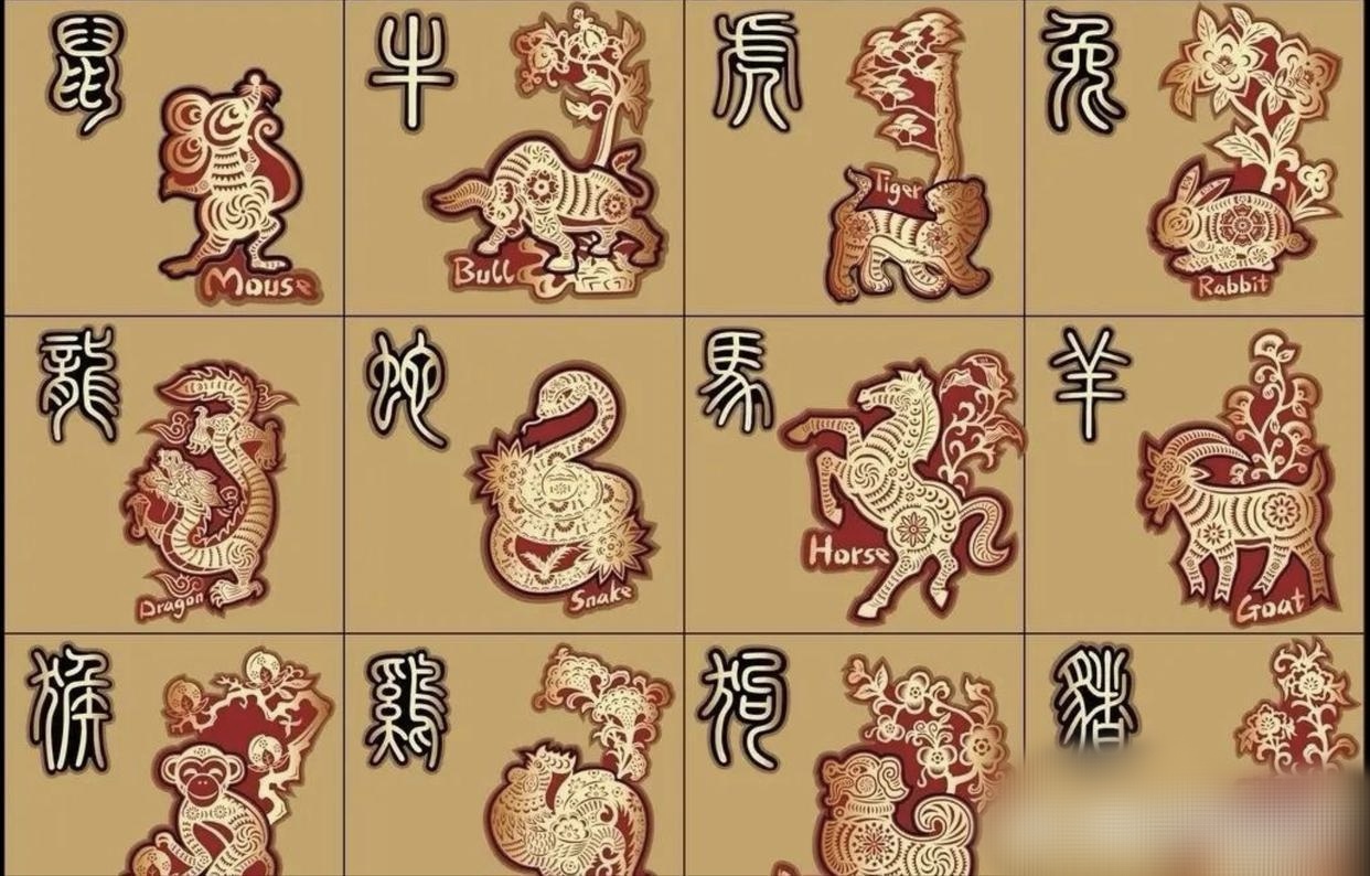 二八追求五迟疑是什么生肖动物二八追求五迟疑是什么生肖