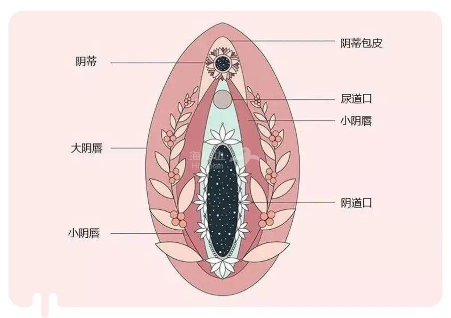 他揉我的小豆豆到高潮他揉我的小豆豆