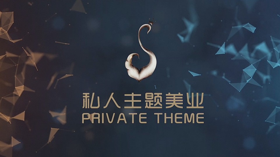 国产VPS私人片，优势与选择