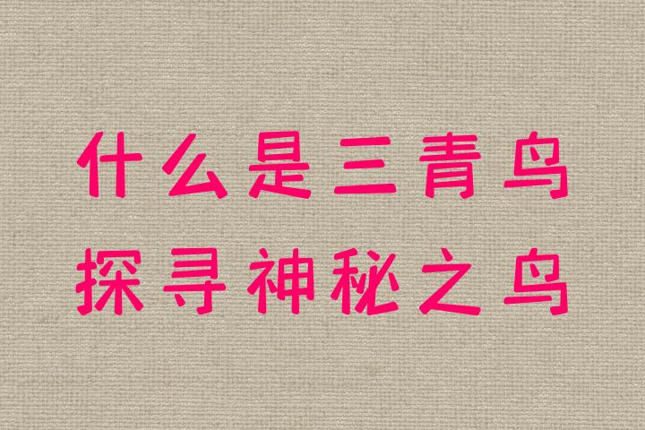 正宗香港内部资料正宗香港内部资料，探寻神秘商业秘密-第3张图片