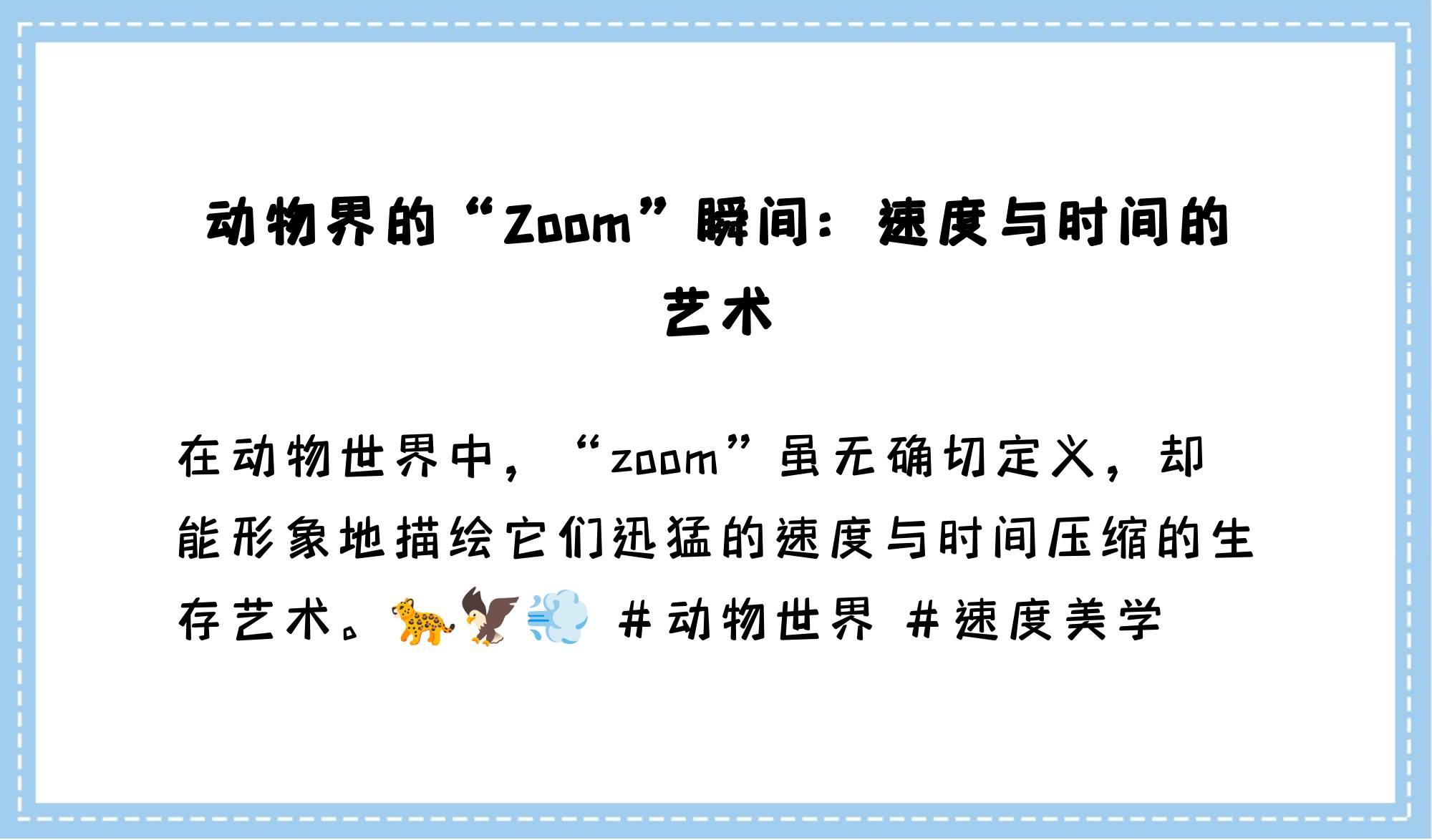 最新美国ZOOM动物欢迎你